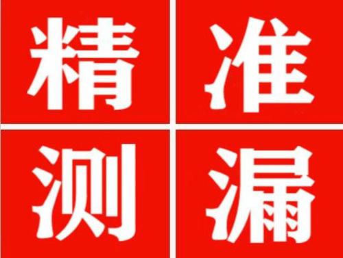 千阳尚嘉漏水精准查找